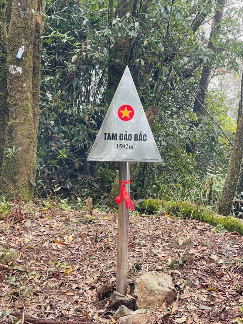 Chinh phục đỉnh Tam Đảo Bắc 'không dành cho người mới leo núi'